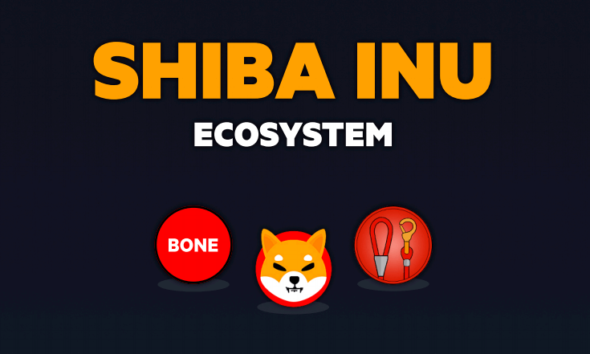 SHIB INU (SHIB)